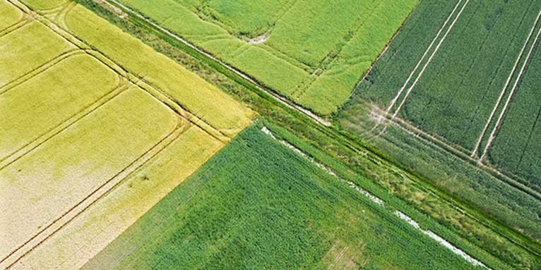 Blick auf Felder - Foto: NABU/Jan Piecha