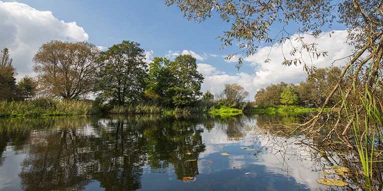 Die Havel bei Mögelin - Foto: NABU/Klemens Karkow