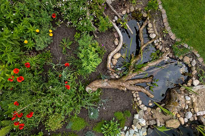 Im Rahmen des Projekts gARTENreich umgestalteter Naturgarten - Foto: NABU/Volker Gehrmann