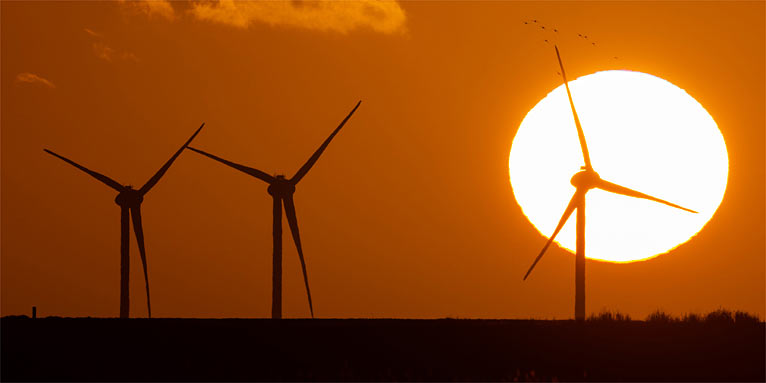 Windräder - Foto: Frank Derer